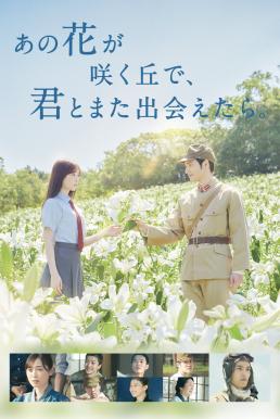 I Wish I Could Meet You Again on the Hill Where That Flower Blooms (2023) บรรยายไทยแปล
